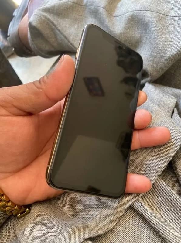 iphone xs panal 0