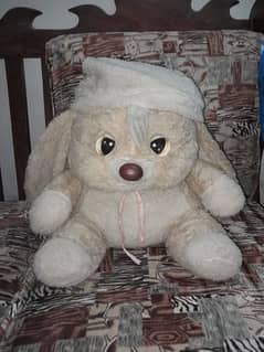 cute teady bear for sale