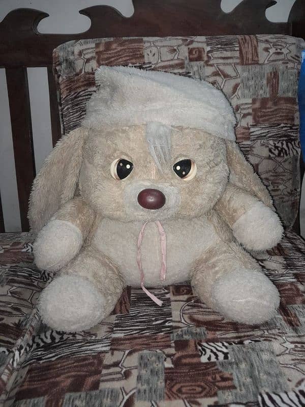 cute teady bear for sale 0