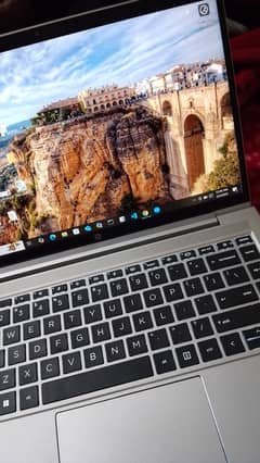 HP ProBook 445 G8 Business Laptop