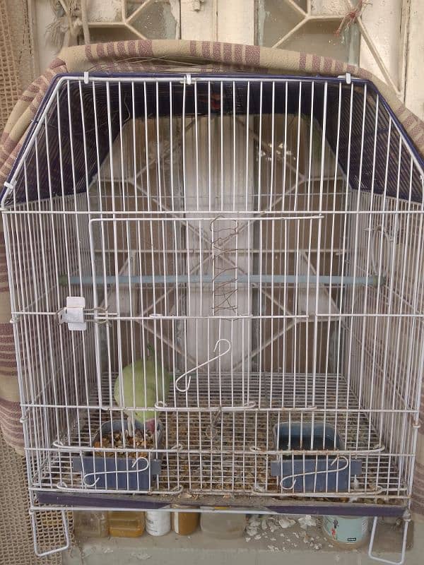 love birds ,budgies & java breeder full setup 0