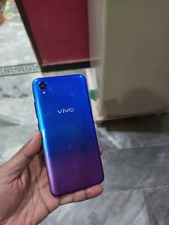 vivo