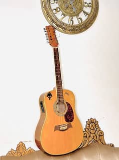 Semi Acoustic 12 strings Guitar