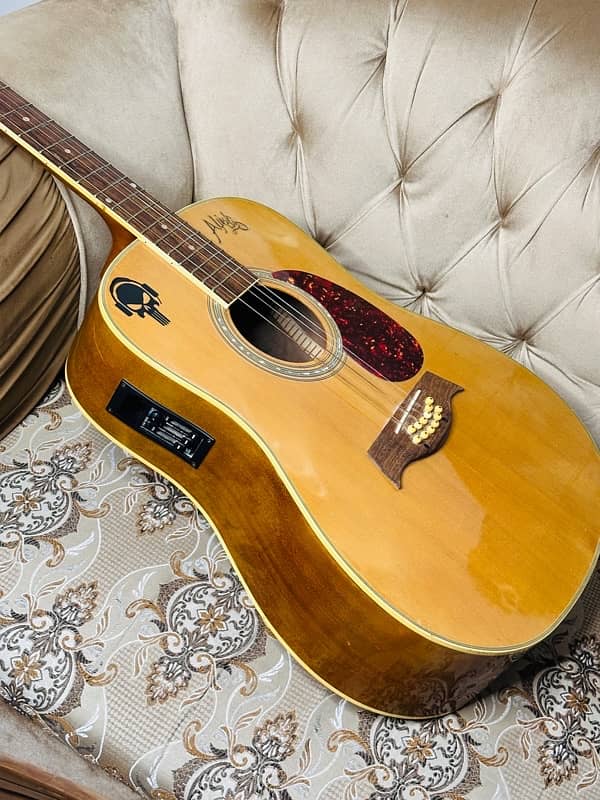 Semi Acoustic guitar up to 12 strings 5