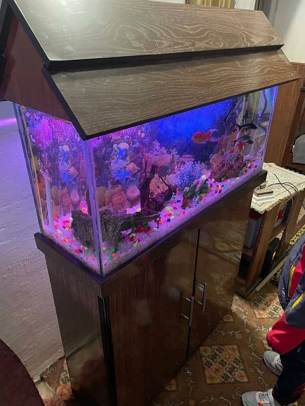 9mm glass Brand new fish aquarium+wooden table 1