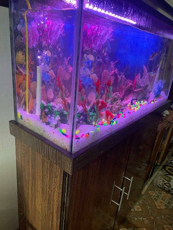 9mm glass Brand new fish aquarium+wooden table 5