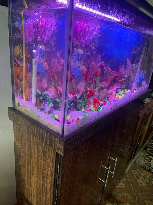 9mm glass Brand new fish aquarium+wooden table 6