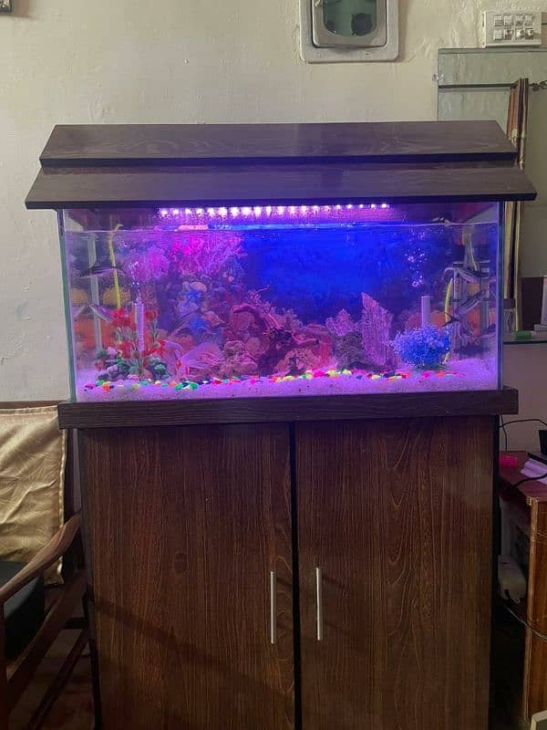 9mm glass Brand new fish aquarium+wooden table 8