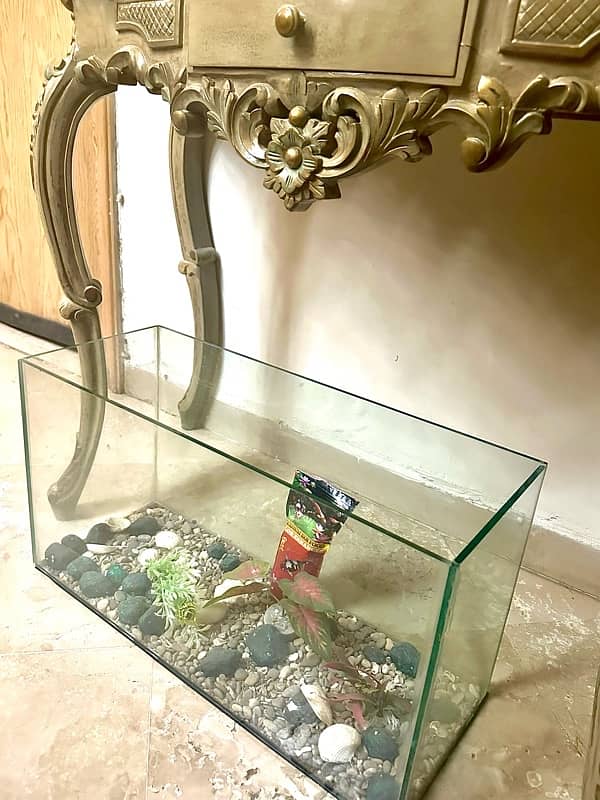 Aquarium with accessories (negotiable and used only once ) 2