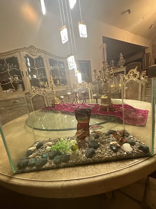 Aquarium with accessories (negotiable and used only once ) 3