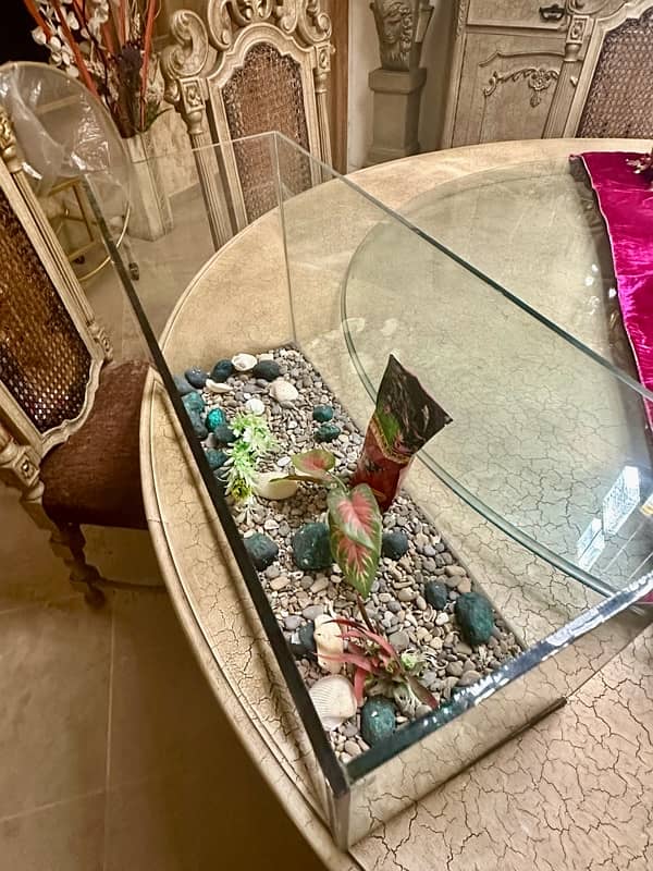 Aquarium with accessories (negotiable and used only once ) 5