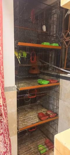 Cage and Java bird for sale