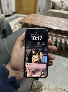 IPHONE 12 Non Pta (jv)