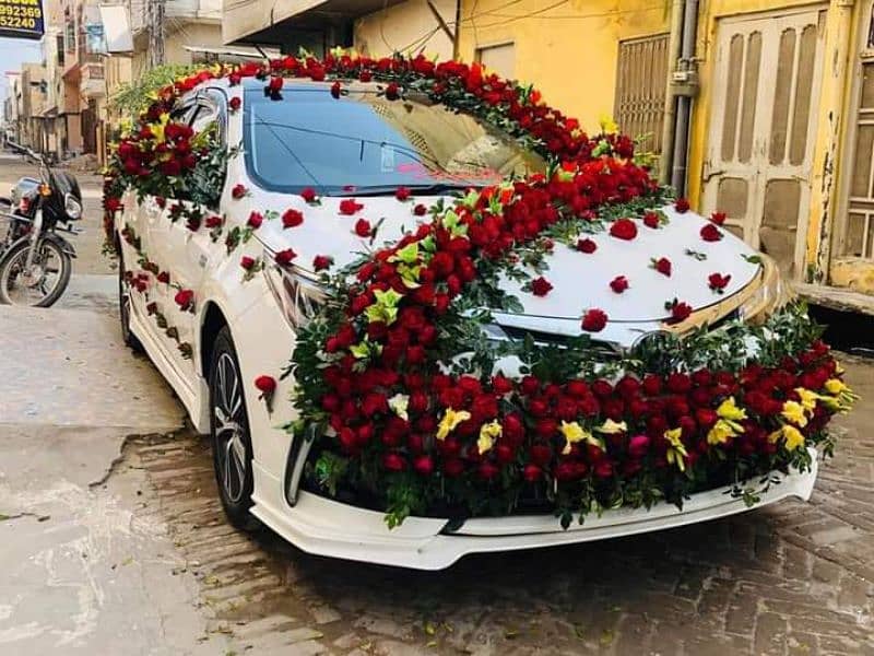 fresh Rose's car 3