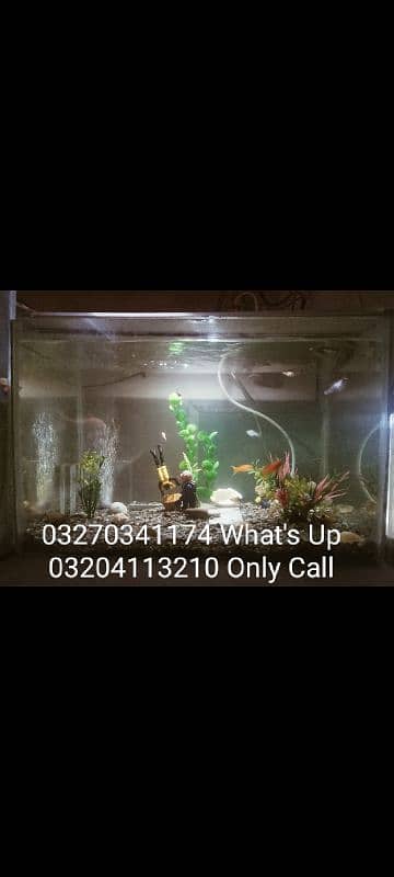 Very Go0d Condition 2 Aquarium For Sale Bigg Size And Small Size 3