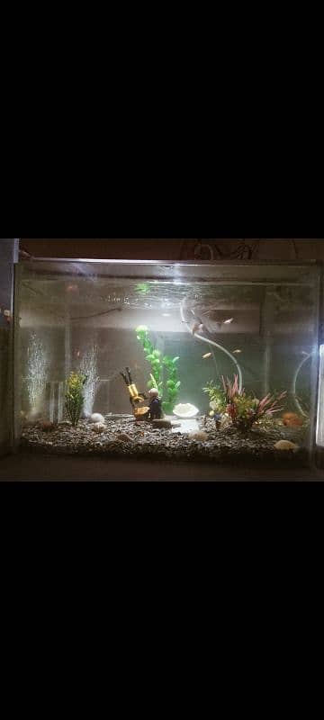 Very Go0d Condition 2 Aquarium For Sale Bigg Size And Small Size 5