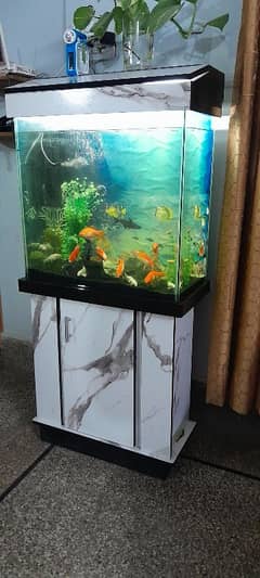 Aquarium