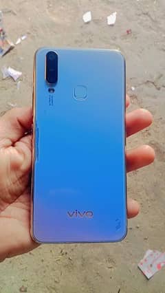 Vivo