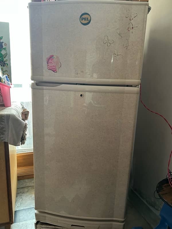 PEL FRIDGE Large compartment 2