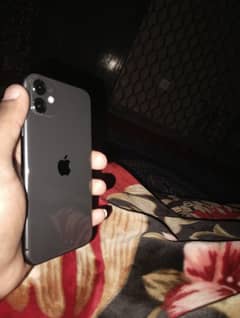 iphone 11 pta approved