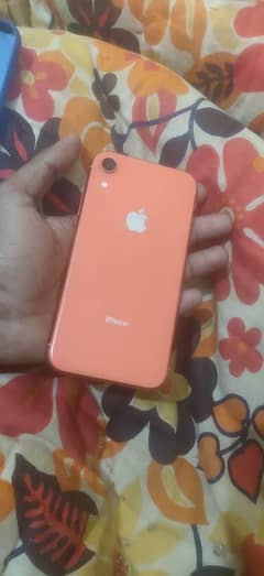 iphone xr non pta 64 gb water pack