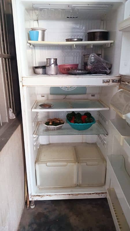 refrigerator 1