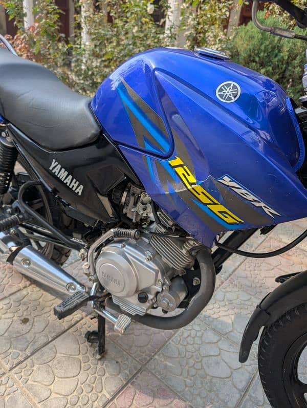 Yamaha ybr 125 for sale 2019 lush 3