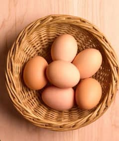 aseel eggs for sale