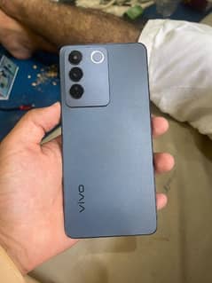 vivo