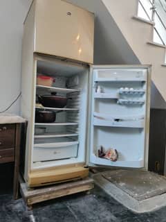 pel fridge perfect condition