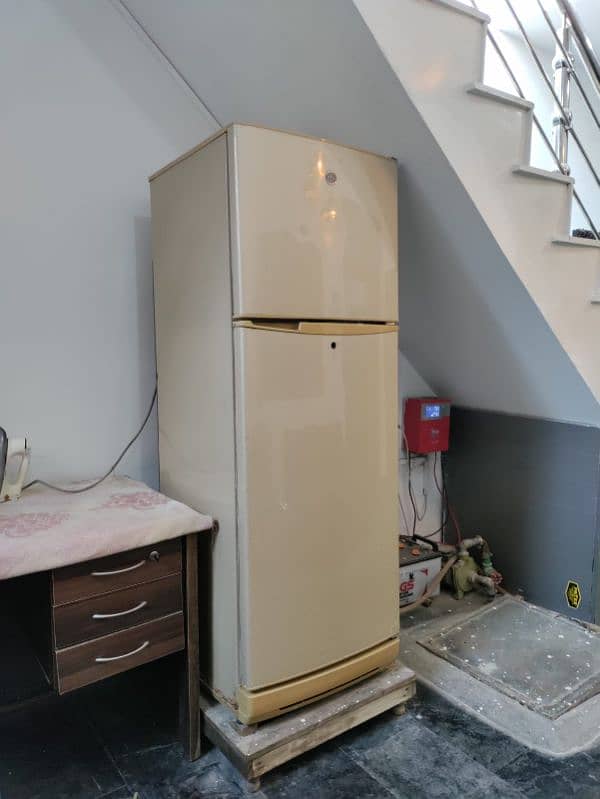 pel fridge perfect condition 1