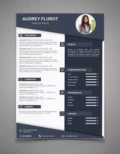 CV design in 10min only 400 hundred