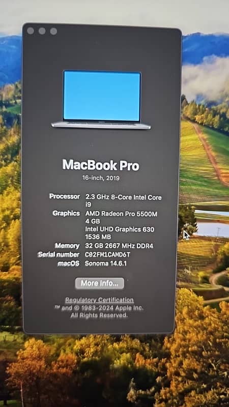 MACBOOK PRO 16 inch 32/1Tb 2