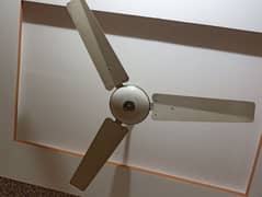 Fan for sale