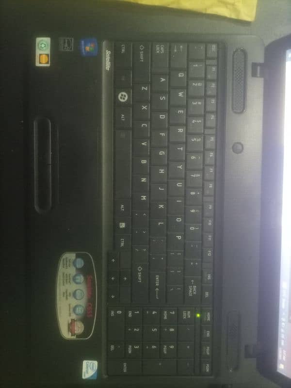 new laptop 4gb ram 320 gb hard 15.6" 2