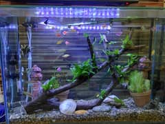 Aqurium for sale