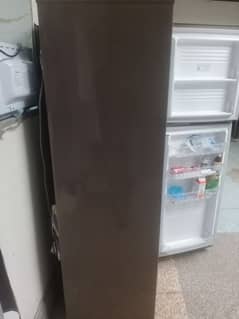 Medium Size Pel Fridge