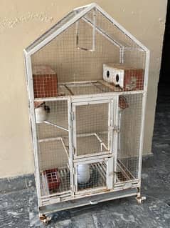 Parrots Cage