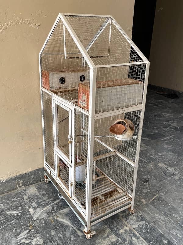 Parrots Cage 1