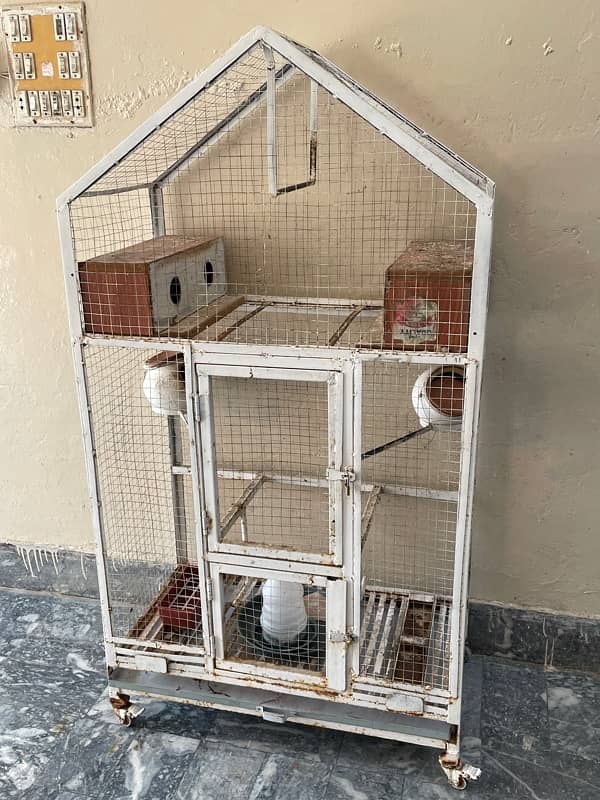 Parrots Cage 2