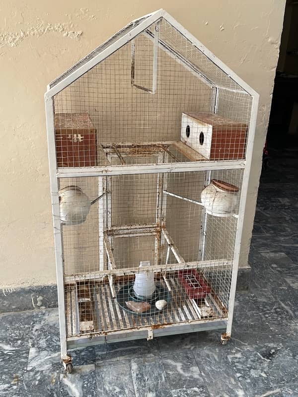 Parrots Cage 3