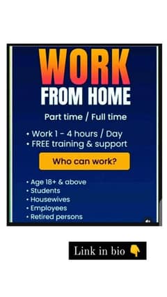 Work from home Part time work official work