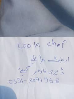 Cook chef