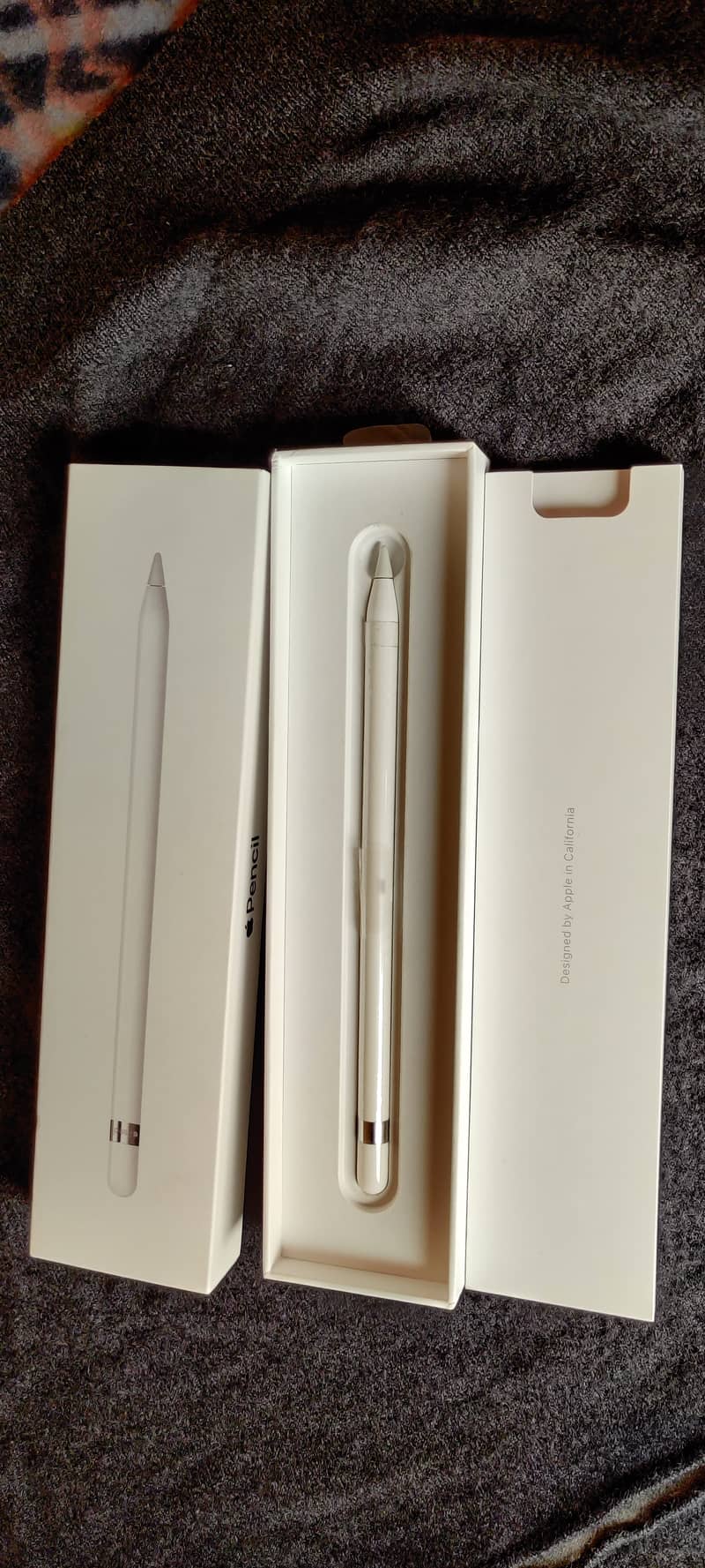 Apple Pencil 12