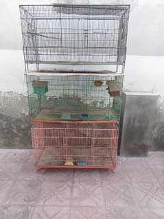 Bird Cages