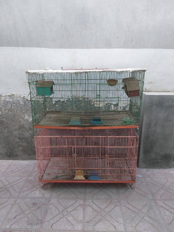 Bird Cages 1