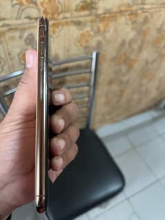 xs max 256 gold colour