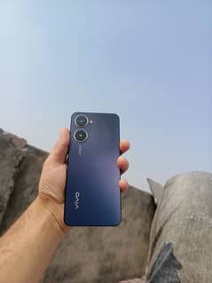 vivo