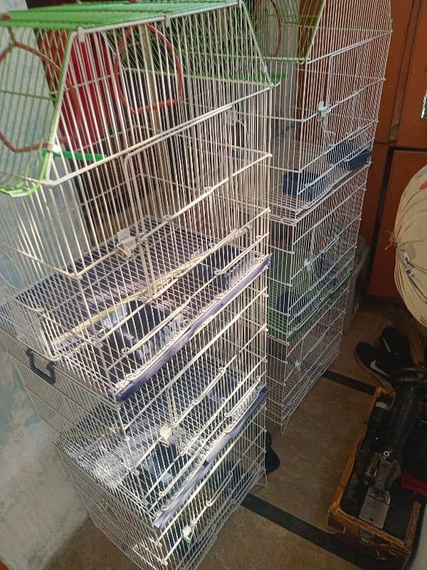 3 Portion Cage for Budgies New cages 2