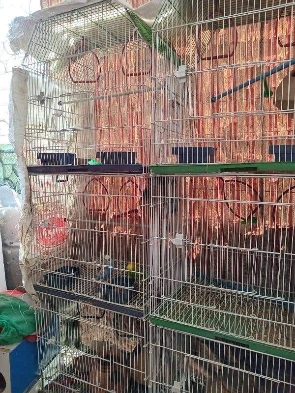 3 Portion Cage for Budgies New cages 5